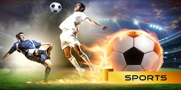 pk888 bet Descubra o vibrante mundo dos esportes online em